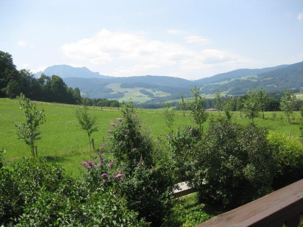 Obermoarhof Apartment Anger Luaran gambar